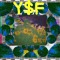 Y$F