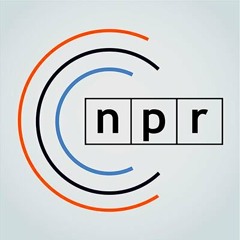 NPR News Now