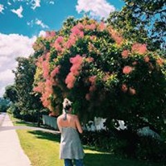 Alyssa Leann DeMetro