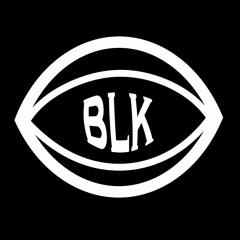 BLKVSN LLC