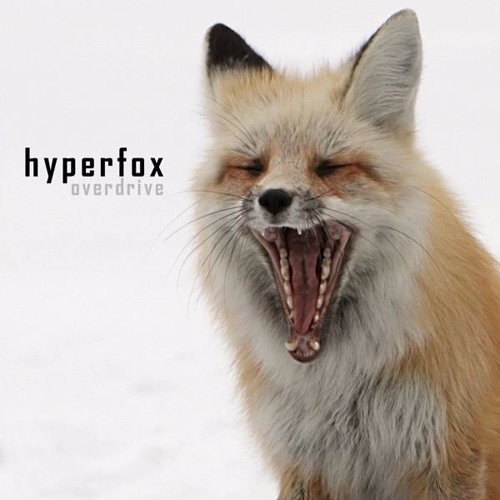 HyperFox’s avatar