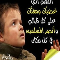 محمد احمد الفقي
