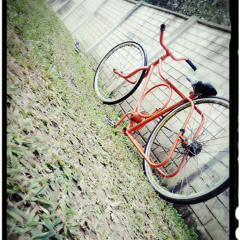 Rebaixados do Grau sc