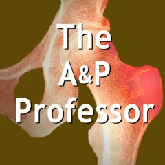The A&P Professor