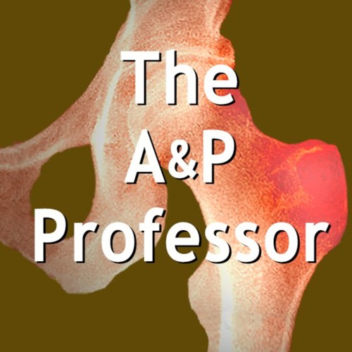 Dual Enrollment in A&P: Murray Jensen on Rigor, Pedagogy, and Community | TAPP 155