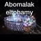 Twfik Eltohamy