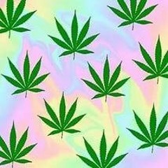 LIL XAN_CHIK