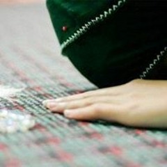 الشيماء اسماعيل