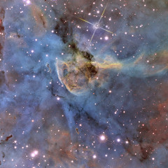 Carina Grajales Veerkamp