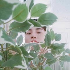 토끼
