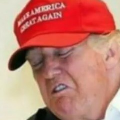 Senpai Donald