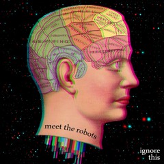 Meet The Robots