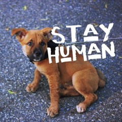 Stay Human