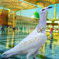 ام سلمان الشريف