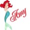 amy sarr