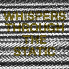 Whispers Through The Static
