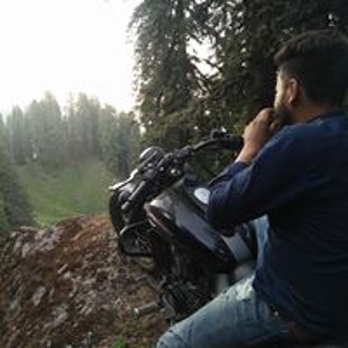 nitin dhiman’s avatar