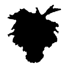 TheAmerikanStepchild