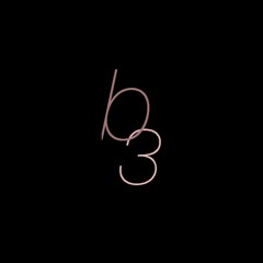 B3