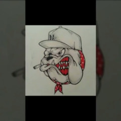Rota Dogg