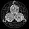 SymbioTek SouL SySteM