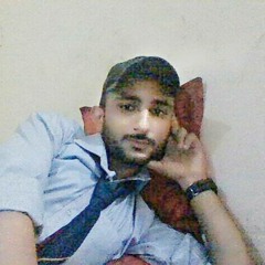 M Rameez Ul Hassan