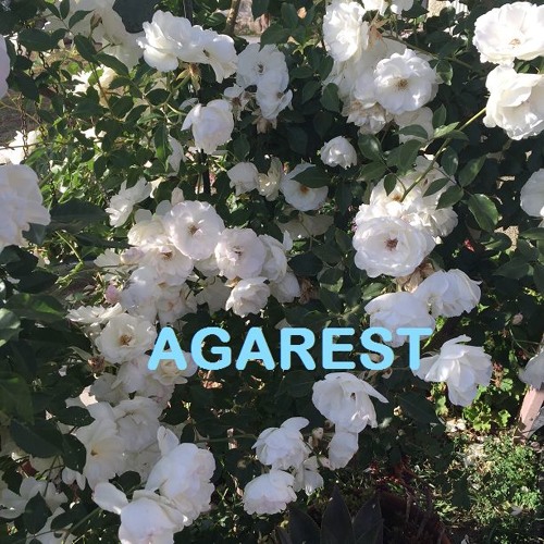 Agarest’s avatar