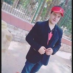 Alaa Abd Rabou Dwidar