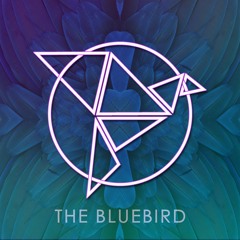 The BlueBird Reno