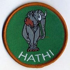 Hathi Cubs