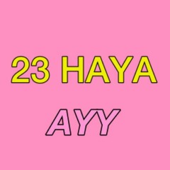 23HAYA