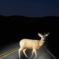 Peep The Song On My Profile