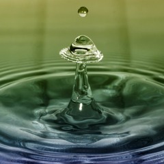 TriceyP- Patrice Jones