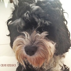 Calvin Kendrick