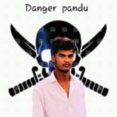 Danger Pandu