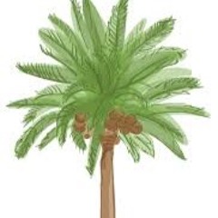 TropicalTribeStudios