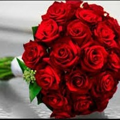 نورين محمد صديق