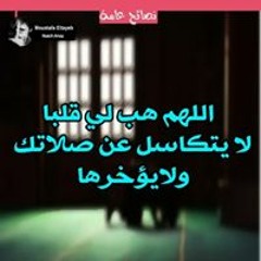 Mahmoud Araby Seoudy