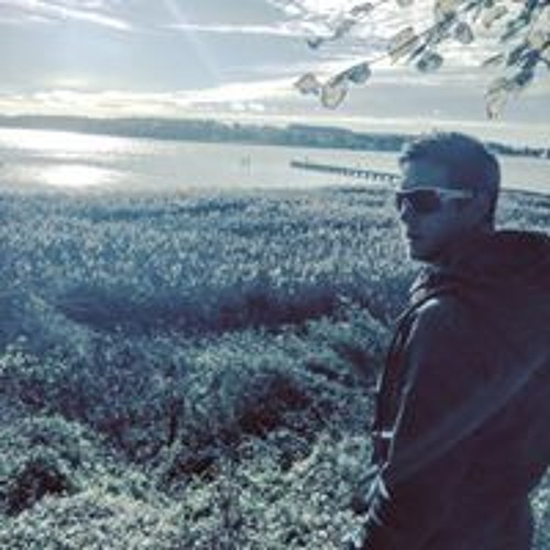 Stream Lars Renner music | Listen to songs, albums, playlists for free ...