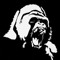 User 494916416