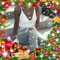 Narika Chery