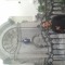 mokbel300