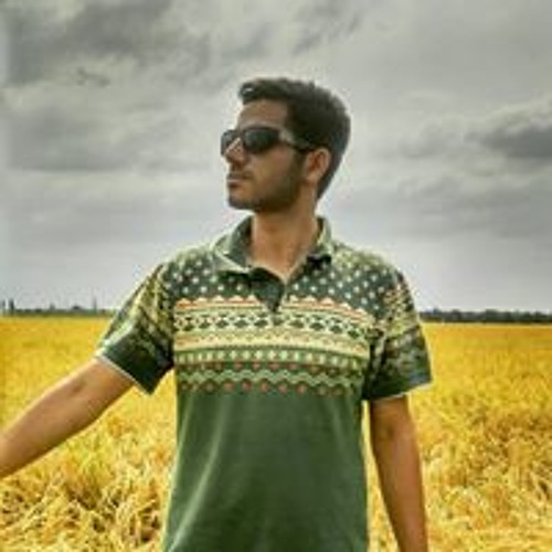 Amin Gholami’s avatar