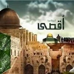 Mhedhbi Amine