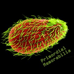 190111_0046 - COULDN'T CARE LESS [TAKE 2]