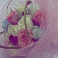 user541302685