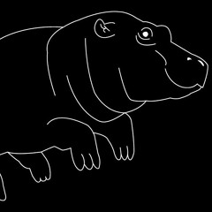Pygmy Hippo