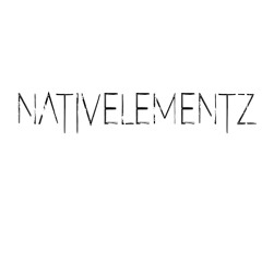 nativelementz