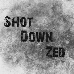Shot Down Zed
