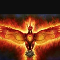 # PHOENIX #